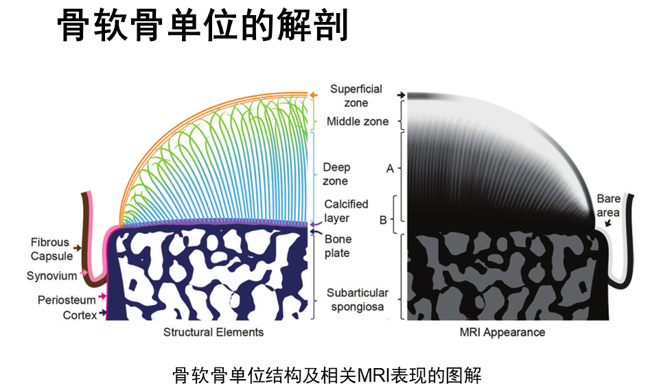 微信图片_20240909220714.png