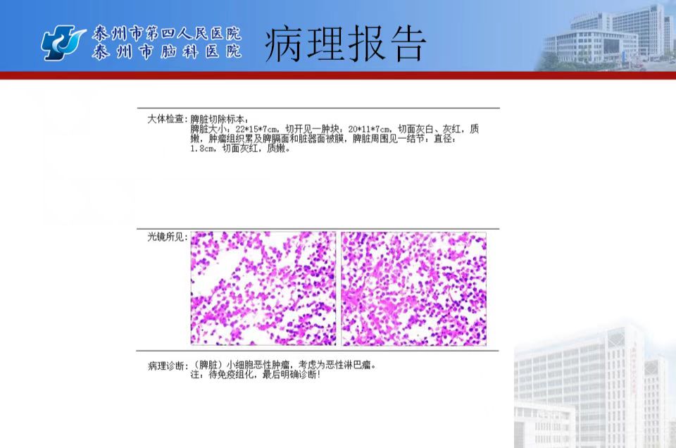 微信图片_20240918191841.jpg