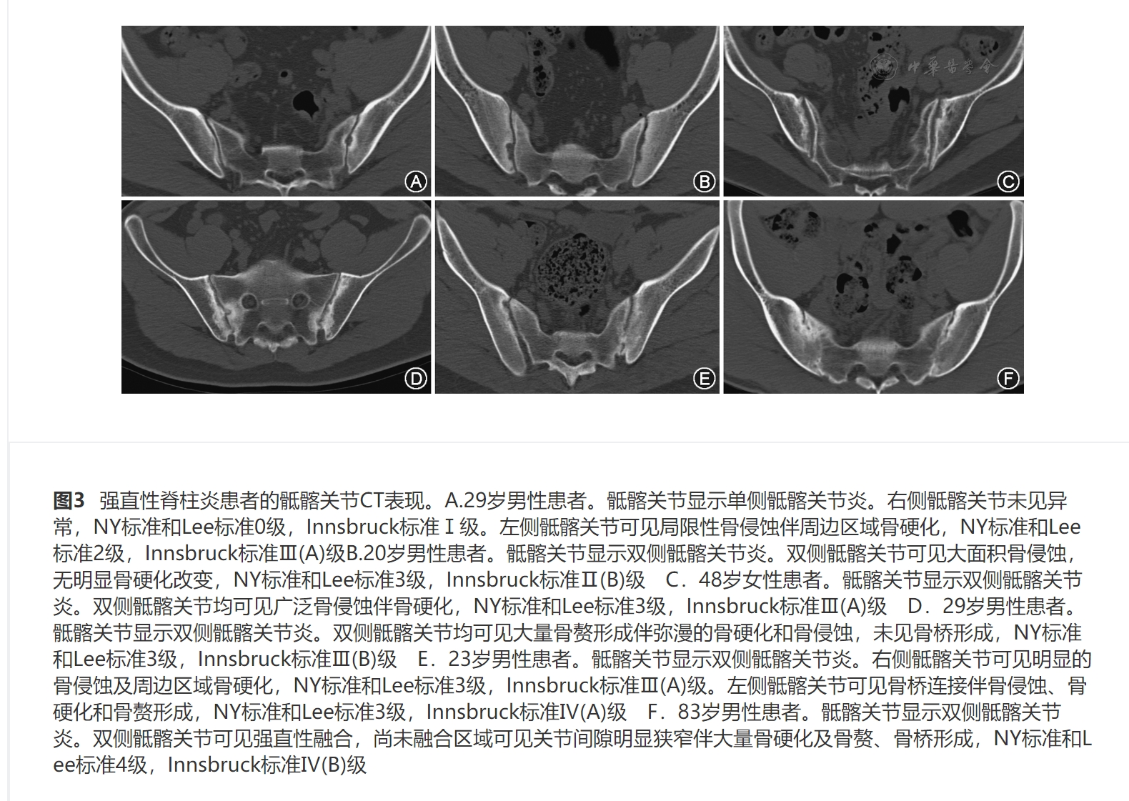 屏幕截图_31-10-2024_203931_rs.yiigle.com(1).jpeg