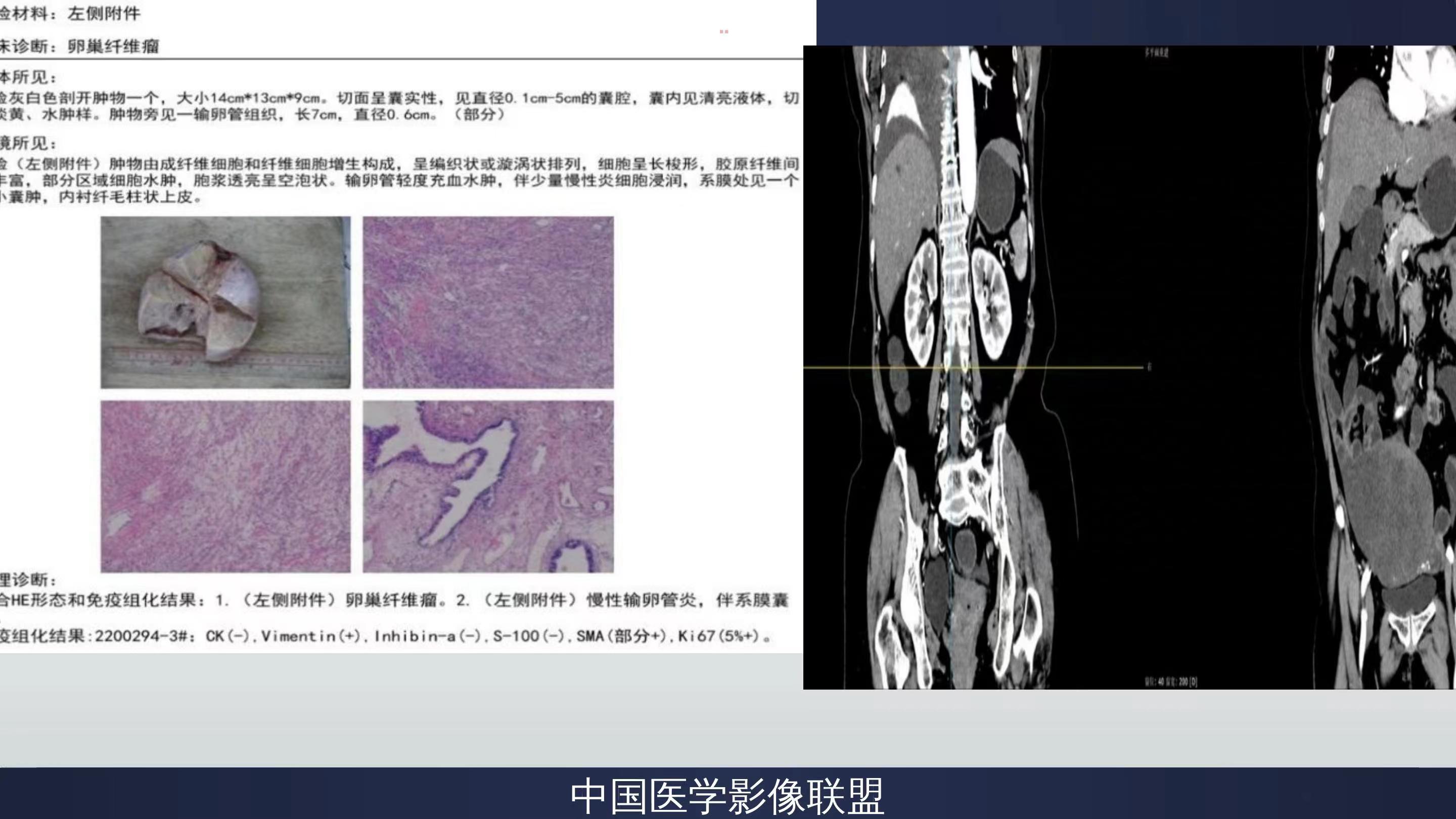 微信图片_20241107150851.jpg